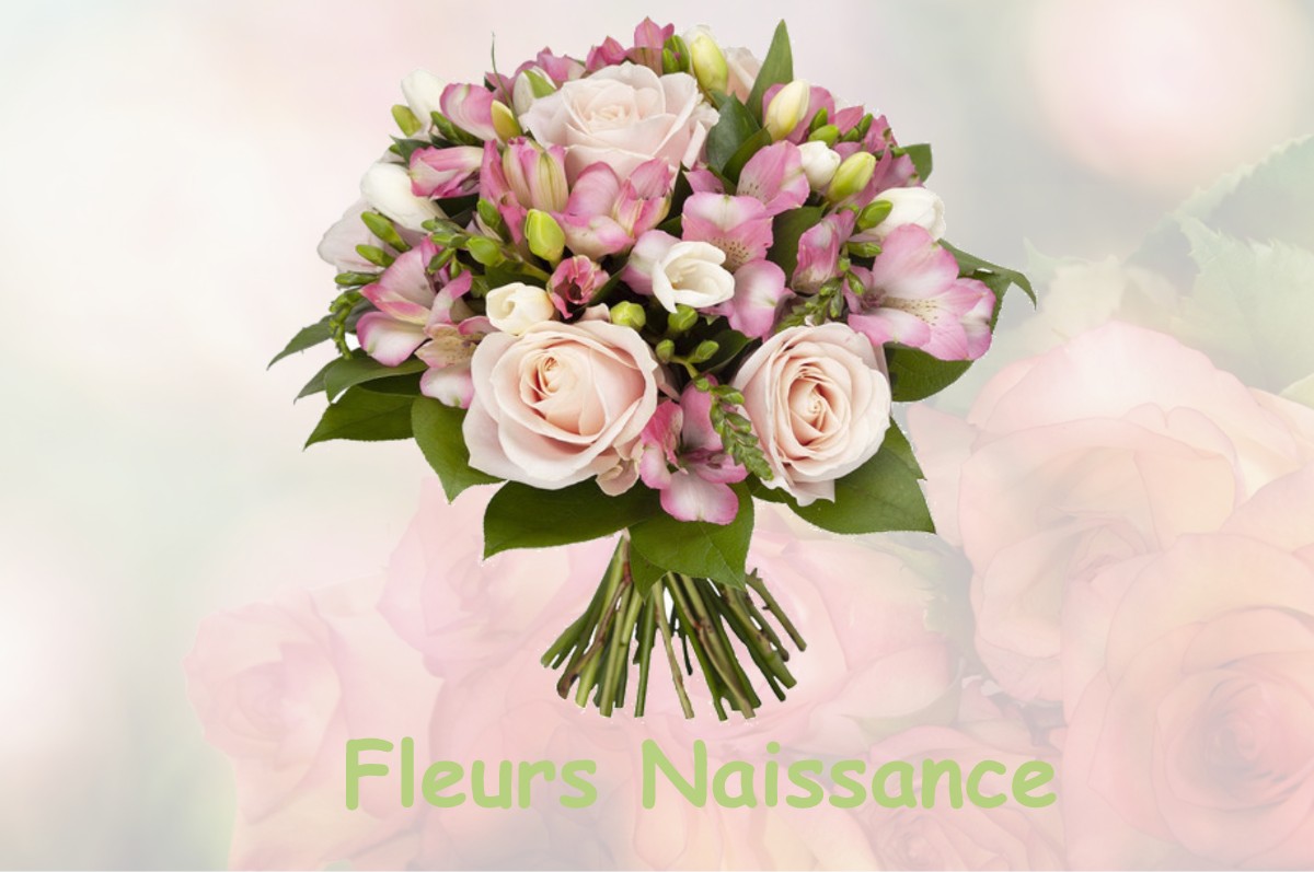 fleurs naissance FRENEUSE-SUR-RISLE
