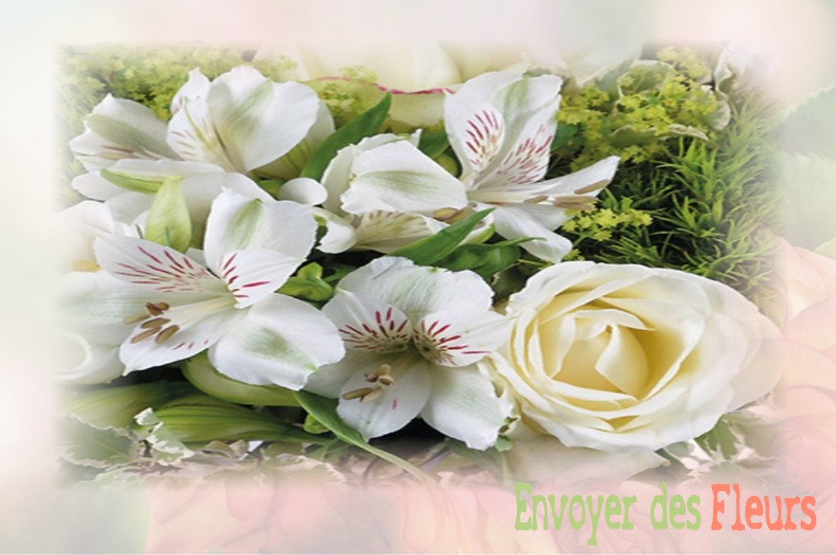 envoyer des fleurs à à FRENEUSE-SUR-RISLE